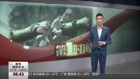 第一时间 温故知新：婆婆丁—东北的名野菜