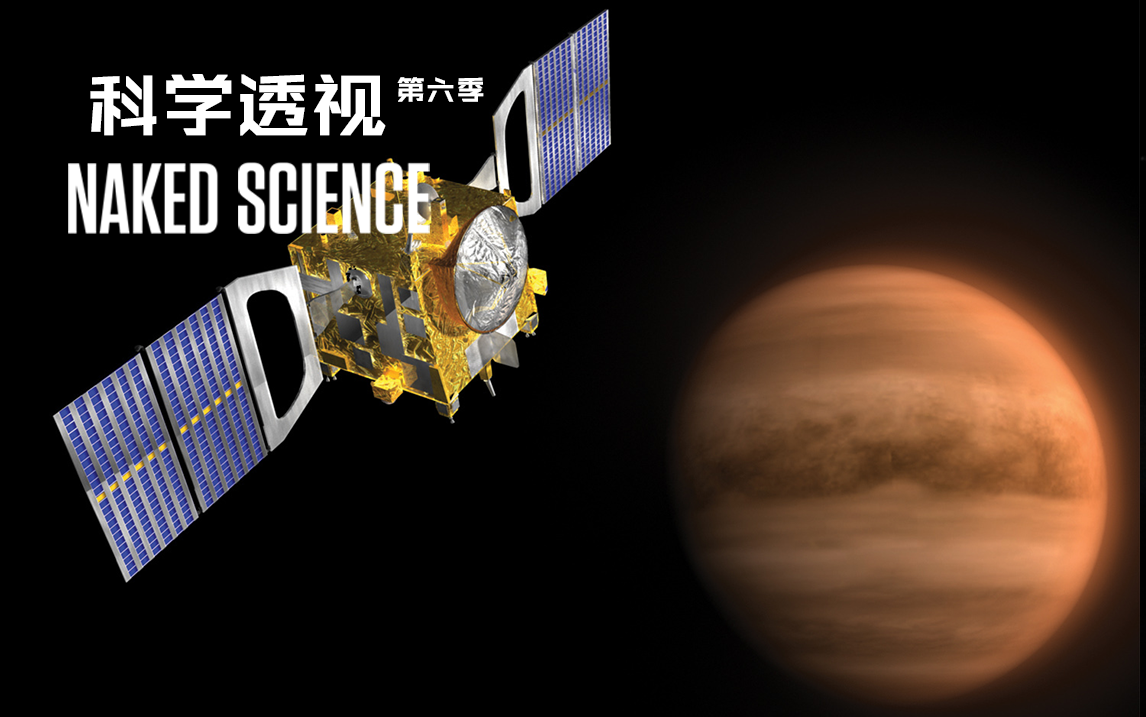 地球的孪生兄弟