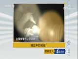 道德观察 《道德观察（日播版）》 20180517 撞出来的秘密