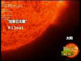 新闻袋袋裤 新闻袋袋裤 2010年 第168期