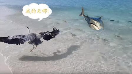 聊斋怪谈 浑浊的海水一定慎入说不定就要了小命