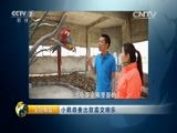 生财有道 《生财有道》 20150609 小鹦鹉奏出致富交响乐