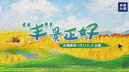 “丰”景正好 农机齐上阵 麦粒飘香夏收忙