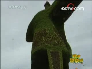 新闻袋袋裤 新闻袋袋裤 2008年 第190期