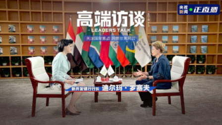 高端访谈 高端访谈 ｜专访新开发银行行长罗塞夫
