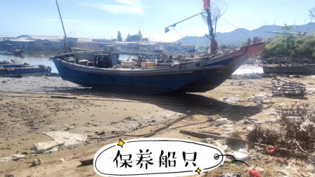 南澳岛赶海日记 快要开海捕鱼了，彪哥今天去把渔船保养下，到时候好大战一场