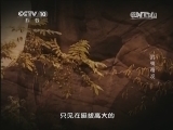 地理中国 《地理中国》武夷奇观 20141209