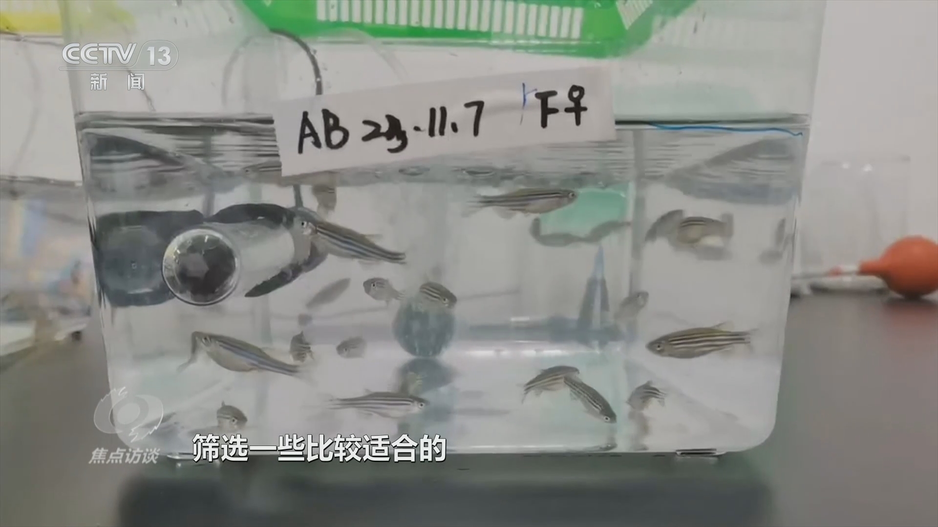 焦点访谈 《焦点访谈》 20240426 太空再聚首 问天无止境