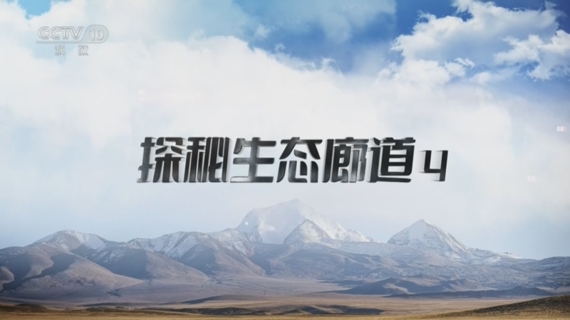 地理中国 《地理·中国》 20260521 探秘生态廊道4