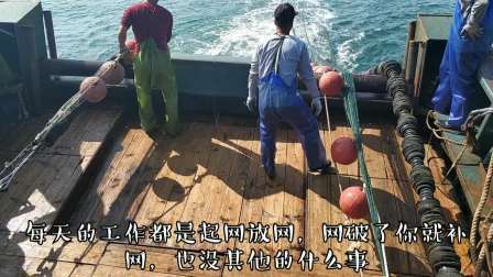 南澳岛赶海日记 这工作工资月入一万多，每天三餐海鲜任你吃，月休10天你做吗？