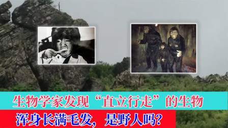 专家发现“直立行走”的生物，浑身长满毛发，硬说是“野人”？
