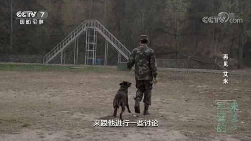 军营的味道 《军营的味道》 20191221 再见 艾米