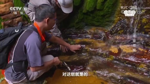 地理中国 《地理中国》 20190319 龙里奇窟