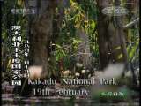 人与自然 人与自然 2009年 第173期 2010-11-29