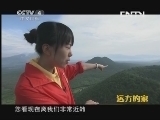远方的家 《远方的家》 20131001 边疆行 陶醉山水间