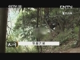 天网 《天网》 20130814 坠崖之谜