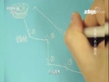 原来如此 《原来如此》 20180304 五颜六色的烟花
