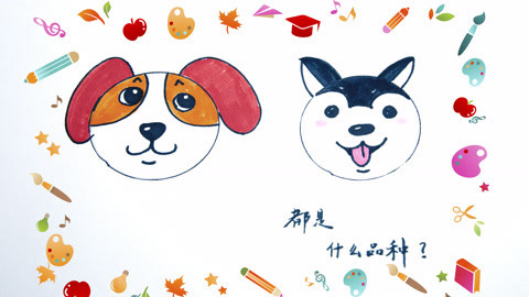 白白侠画画 两只狗狗简笔画