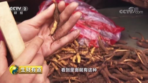 生财有道 《生财有道》 20181005 青海杂多县的生态财富