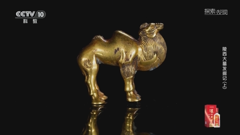 《探索·发现》 20260330 考古探奇：陵西大墓发掘记（上）