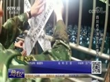 热线12 《热线12》 20171017