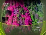 地理中国 《地理中国》 20171230 四季中国·生命之冬