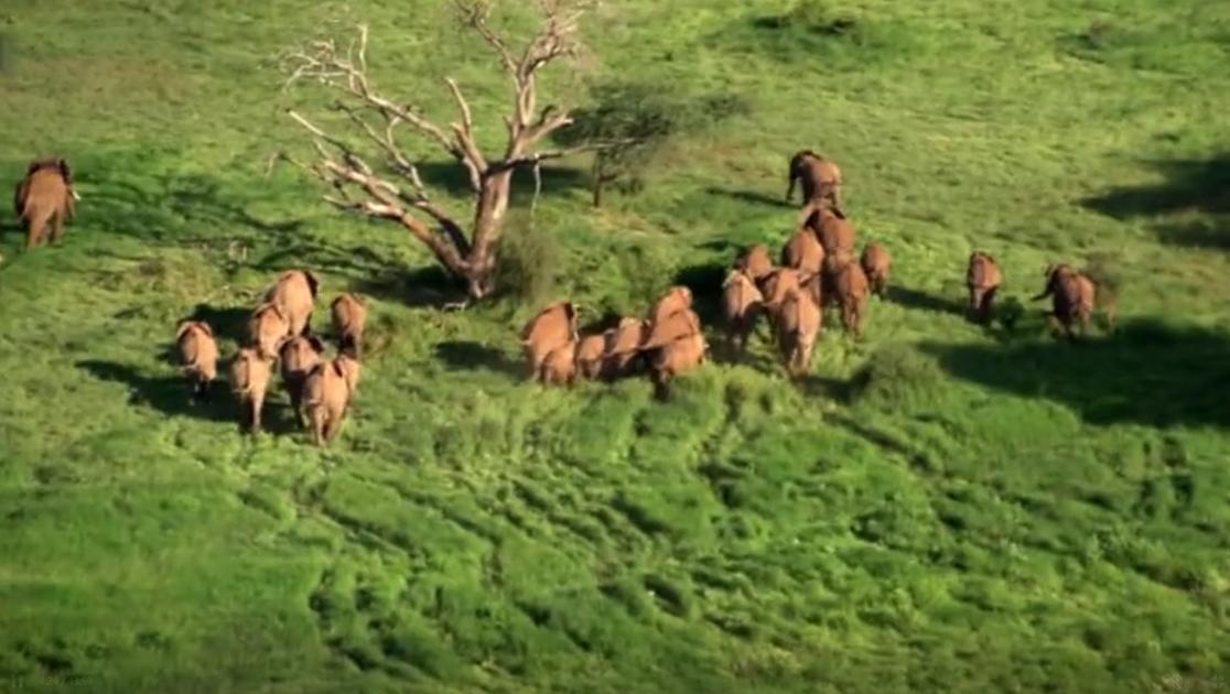 极限生存游戏第二季 第1集