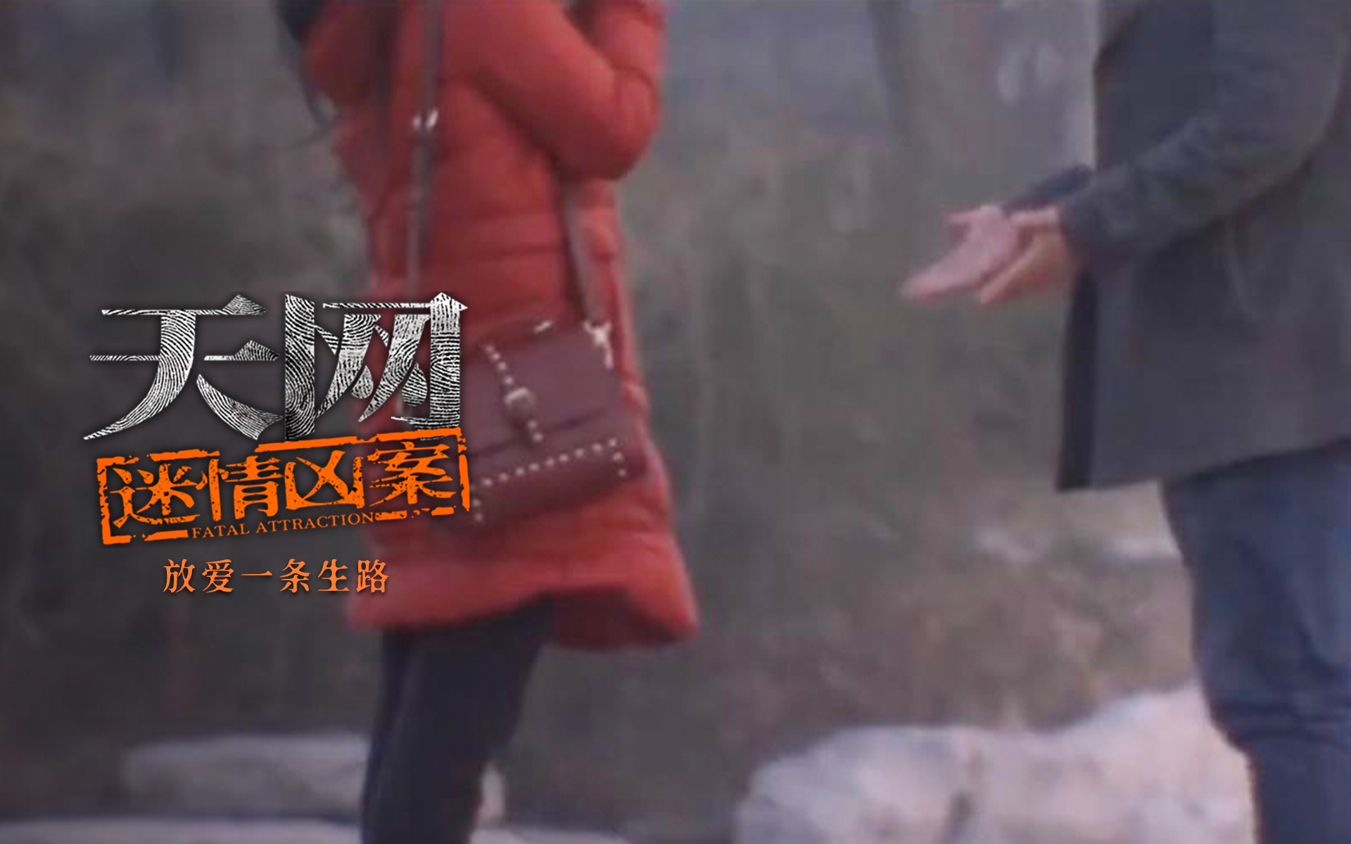 放爱一条生路