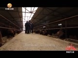 好人在身边 《好人在身边》 20160903 养殖护卫者——平凉市庄浪县农牧局副局长 郑海