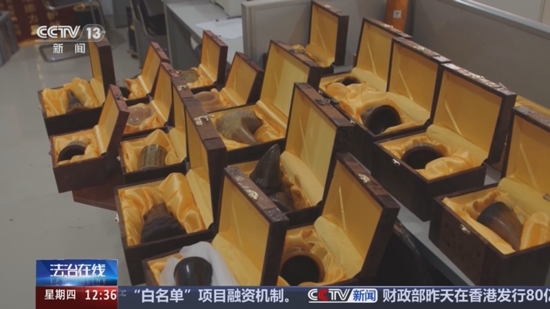 法治在线 《法治在线》 20241017