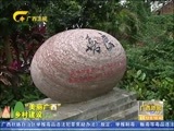广西新闻 《广西新闻》 20170412