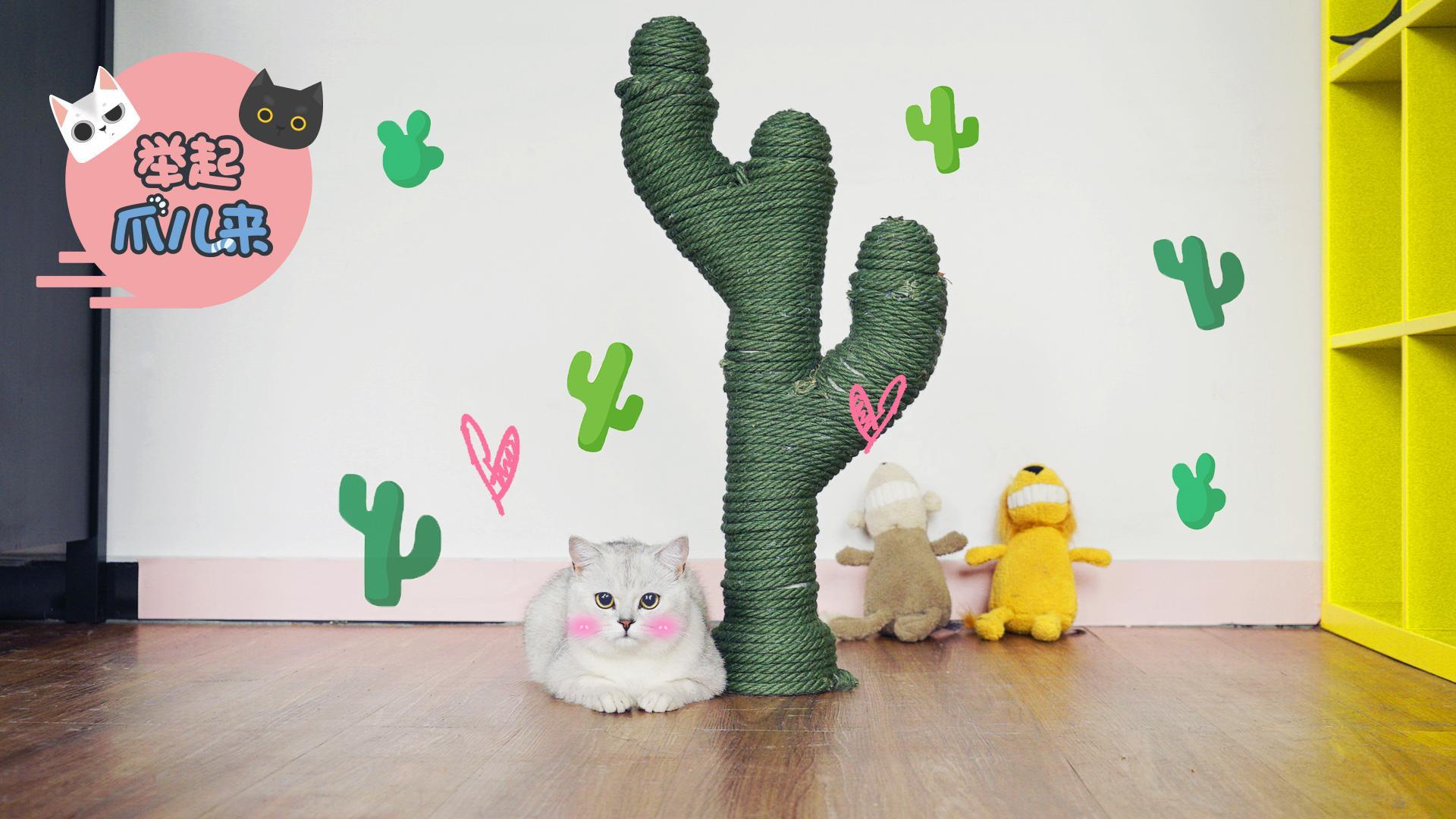 举起爪儿来 DIY仙人掌猫抓柱【举起爪儿来】