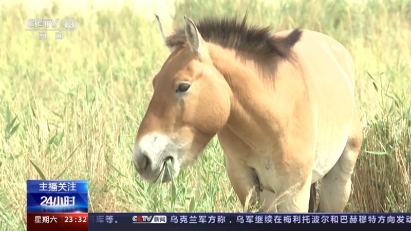 24小时 《24小时》 20230916