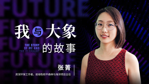 张菁：我与大象的故事