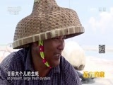 远方的家 《远方的家》一带一路 第33集 丝路起点“蚝”情湛江 20161017