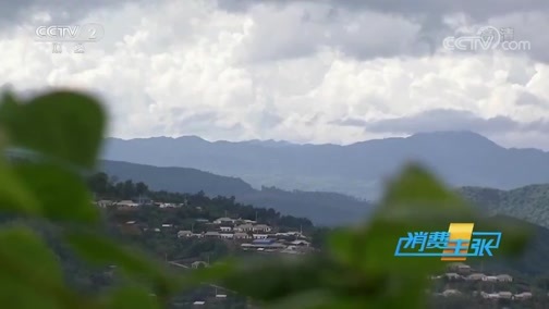 消费主张 《消费主张》 20200710 原产地访价格：食用菌上市，价格降了吗？（上）
