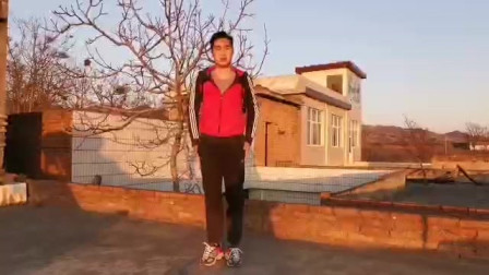 《宅家练拳》之少林武术马步冲拳