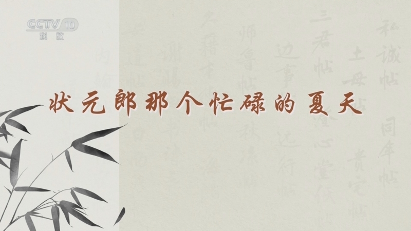 百家讲坛 《百家讲坛》 20241122 传世书信中的千面宋人 4 状元郎那个忙碌的夏天