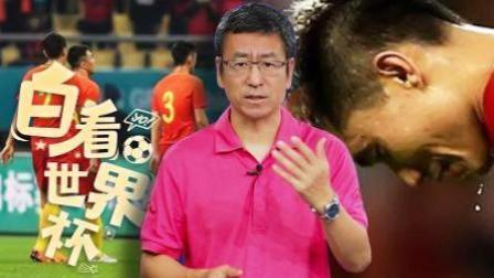 白看世界杯 白岩松：世界杯梗王？我只是天生耿直！
