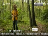 有多远走多远 《有多远走多远》 20170312 我是旅行家 海南岛探索之旅