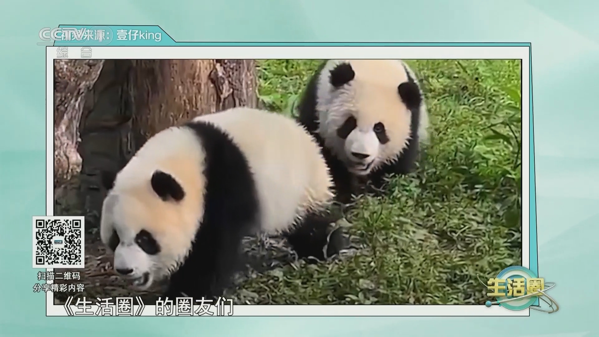 生活圈 《生活圈》 20230719