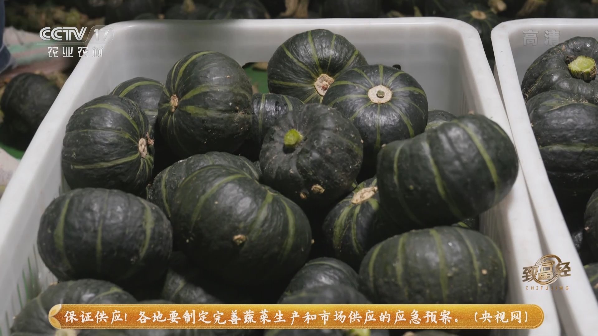 《致富经》 20211126 小南瓜藏玄机 四季招财