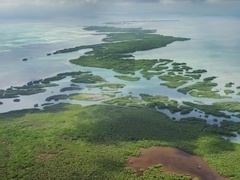 蓝色星球 第二季第5集：绿色海洋