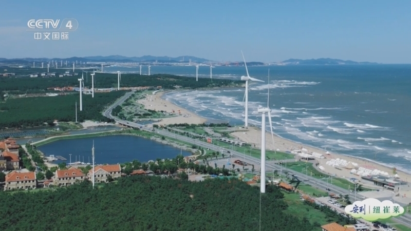 《花开又一程》 20251121