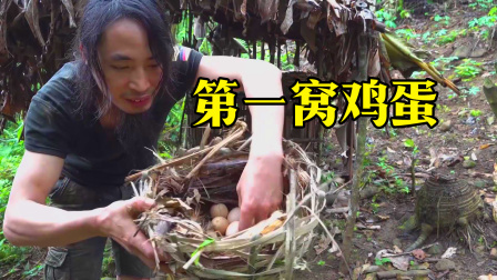 原始丛林人苏门答腊 第二季 热带雨林野外生存，养的鸡终于下蛋了，收获胜利的喜悦