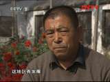 生财有道 《生财有道》 20111102 老韩养鸽记