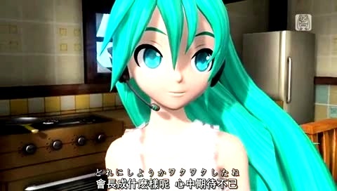 初音未来 ，花束 中日字幕版-初音未来 (初音，miku)
