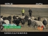 远方的家 北纬30°·中国行 第一百八十二集 味美岗巴 神秘定结 《远方的家》 20130315