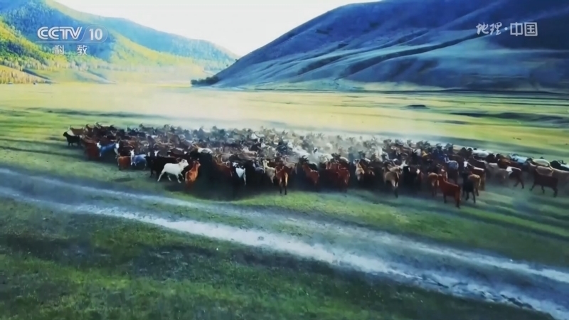 地理中国 《地理·中国》 20230411 移动的草原风景 2