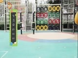 智慧树 《智慧树》 20180530
